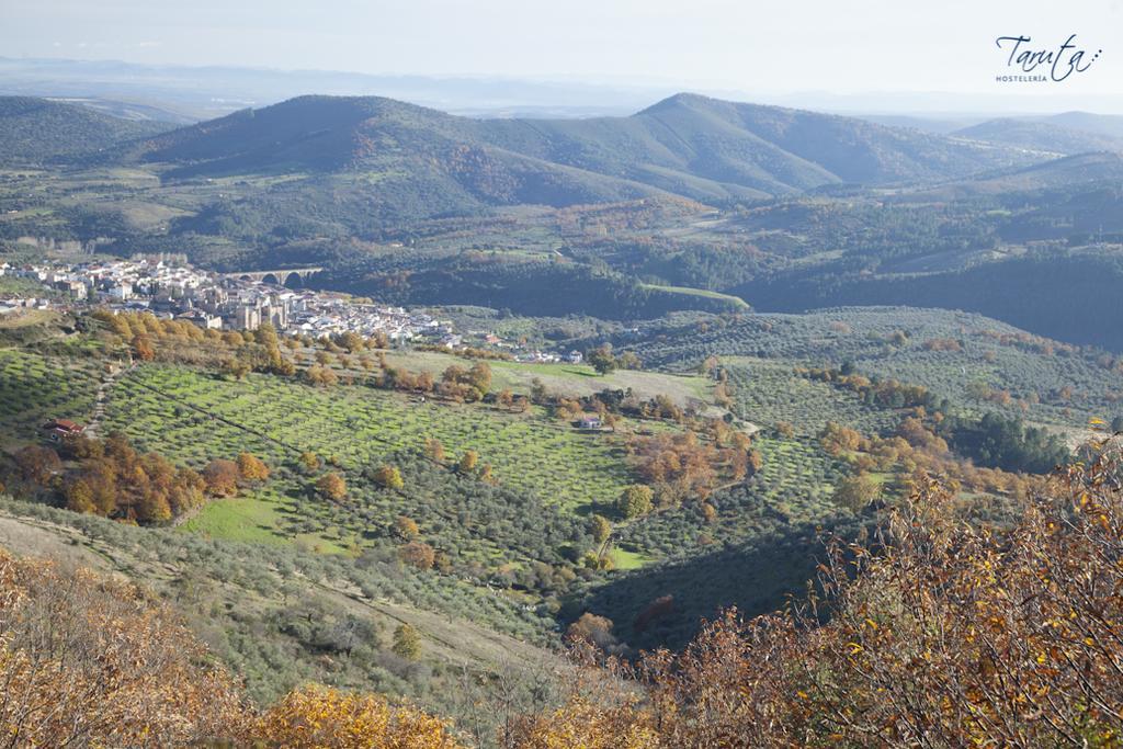 Hostal Alba Taruta Γουαδελούπη Εξωτερικό φωτογραφία